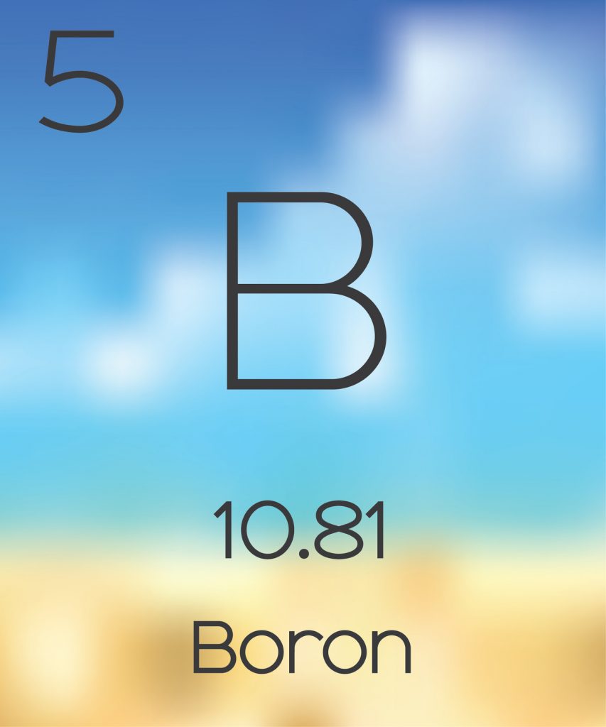 the element boron increases free testosterone