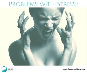 picture of a woman showing signs of stress
